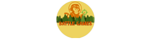 Batlle game logo